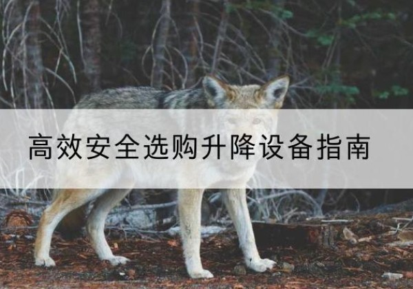陆丰升降货梯厂家推荐-*安全选购升降设备指南