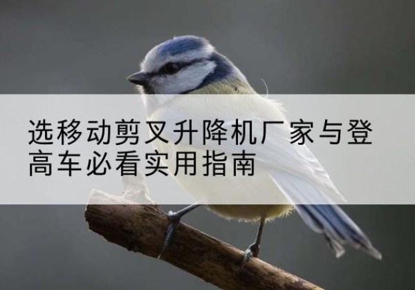 陆丰电动升降机厂家-选移动剪叉升降机厂家与登高车必看实用指南