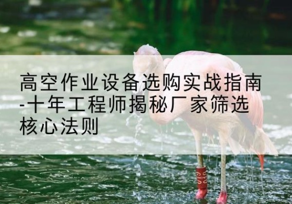 陆丰剪叉式升降机厂家-高空作业设备选购实战指南-十年工程师揭秘厂家筛选核心法则